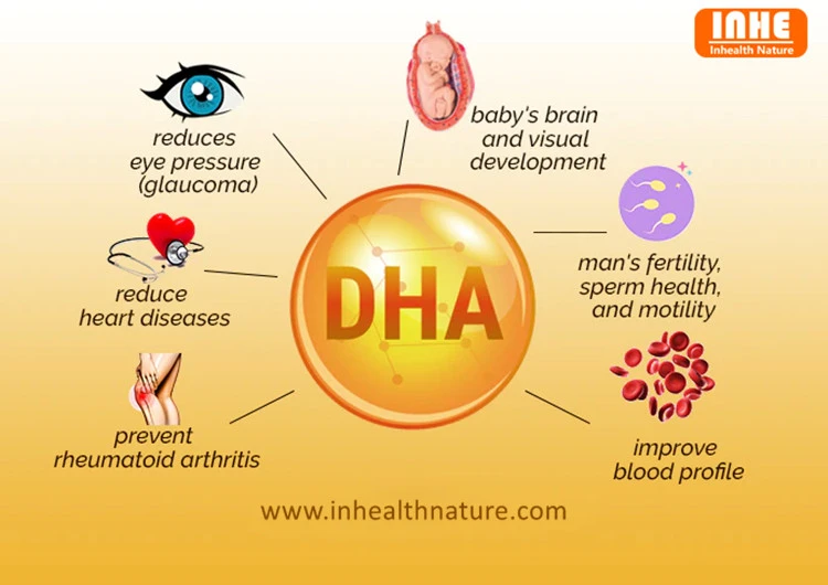 Importance of DHA for Human Body Importance of DHA for Human Body