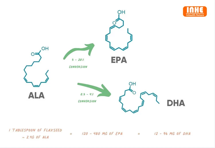 ALA conversion to DHA and EPA ALA conversion to DHA and EPA