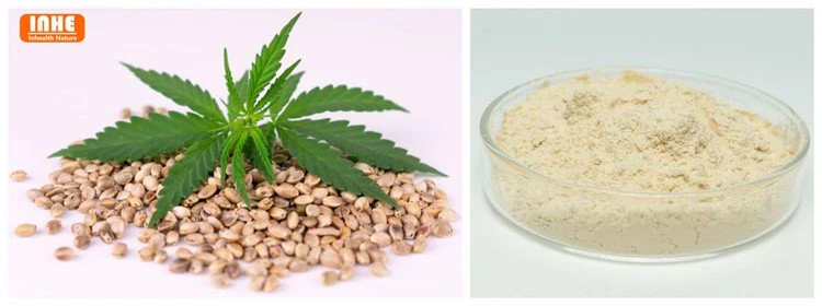 Hemp Seed and Hemp Protein Powder