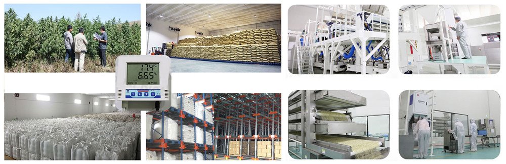 1-Hemp Cultivation Base and Hemp Factory