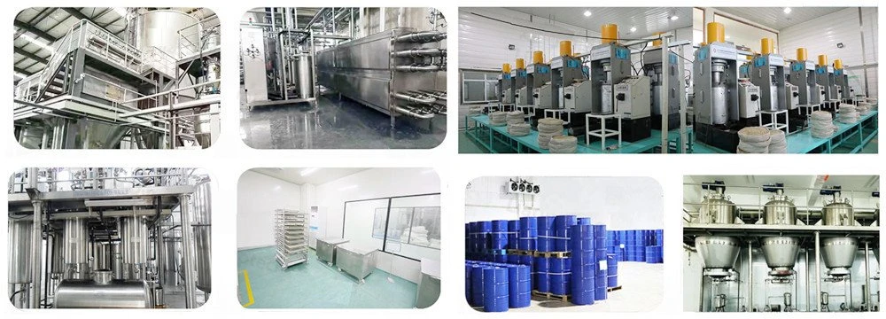 2-Hemp Protein Manufacturer and Hemp Seed Oil Factory