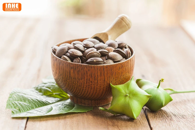 Sacha Inchi Seed Oil Sacha Inchi Seed Oil