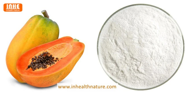 Papaya and Papain Enzyme Powder Papaya and Papain Enzyme Powder