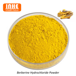 Як порошок Berberine HCL бореться з бактеріями?